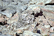 Picture 'Eq1_03_31 Lava, Galapagos, Bartolome'